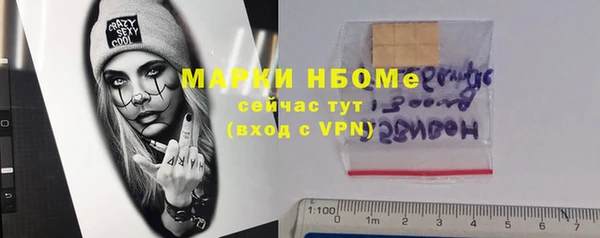 гидра Алексин