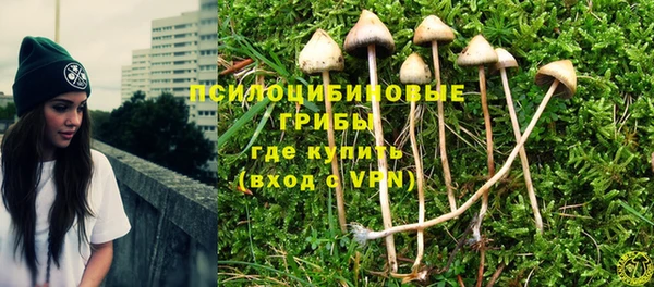 твердый Армянск