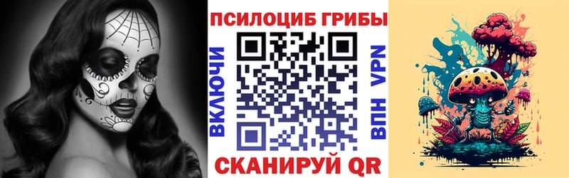 Псилоцибиновые грибы Psilocybine cubensis Кизел